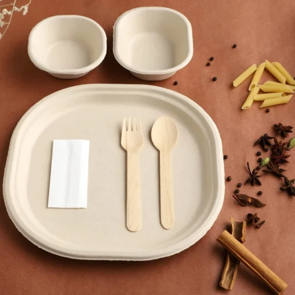 Disposable - Large Sugarcane Plate with Bio Cutlery and Napkin Pack