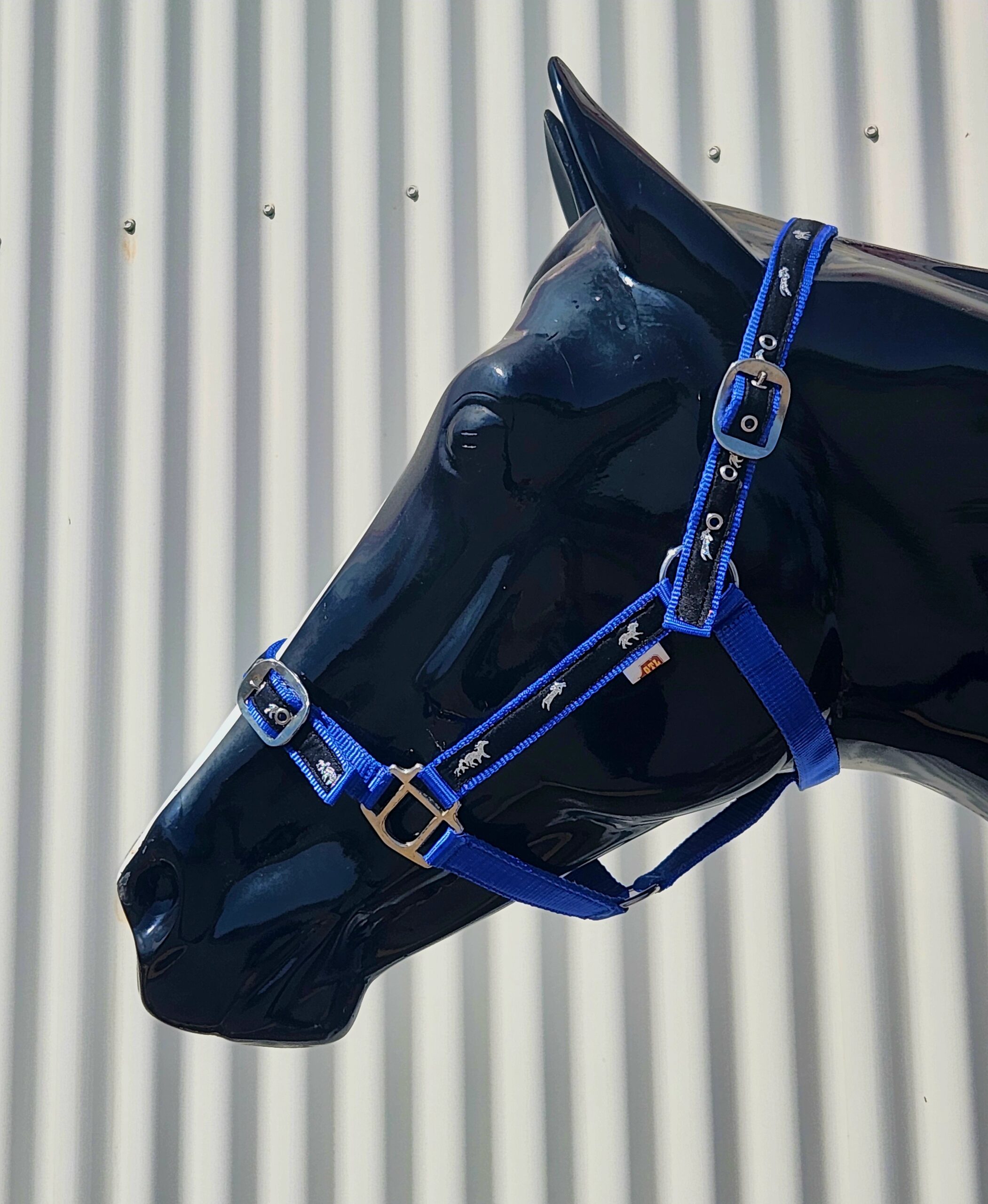Coloured Ribbon Halter - Image 4