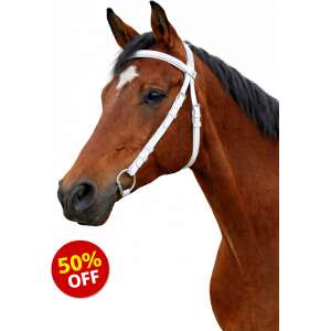 GTL Bridles PVC Exercise