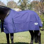 Blue Dog Unlined Rug