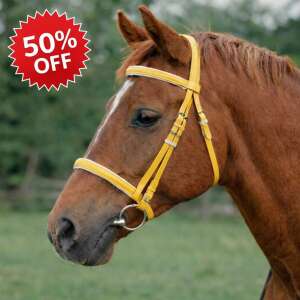 GTL Pvc Race Day Bridle