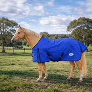 Highlander Unlined Rug