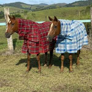 Pvc Shadecloth Combo