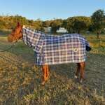 Pvc Shadecloth Combo - Shaz - Blue Check