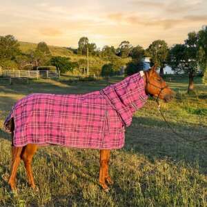 Pvc Shadecloth Combo - Shaz - Purple Check