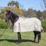 Simpson Lined Rug