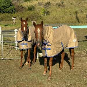 Stradbroke Combo (Jute)