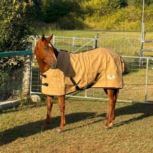 Stradbroke Rug (Jute)