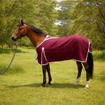 Trophy/Show Rug