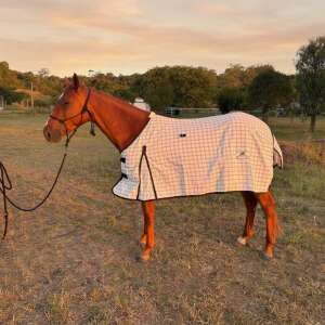 Woodland Rug