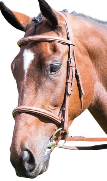 English Cavesson Snaffle Bridle With Reins - Image 2