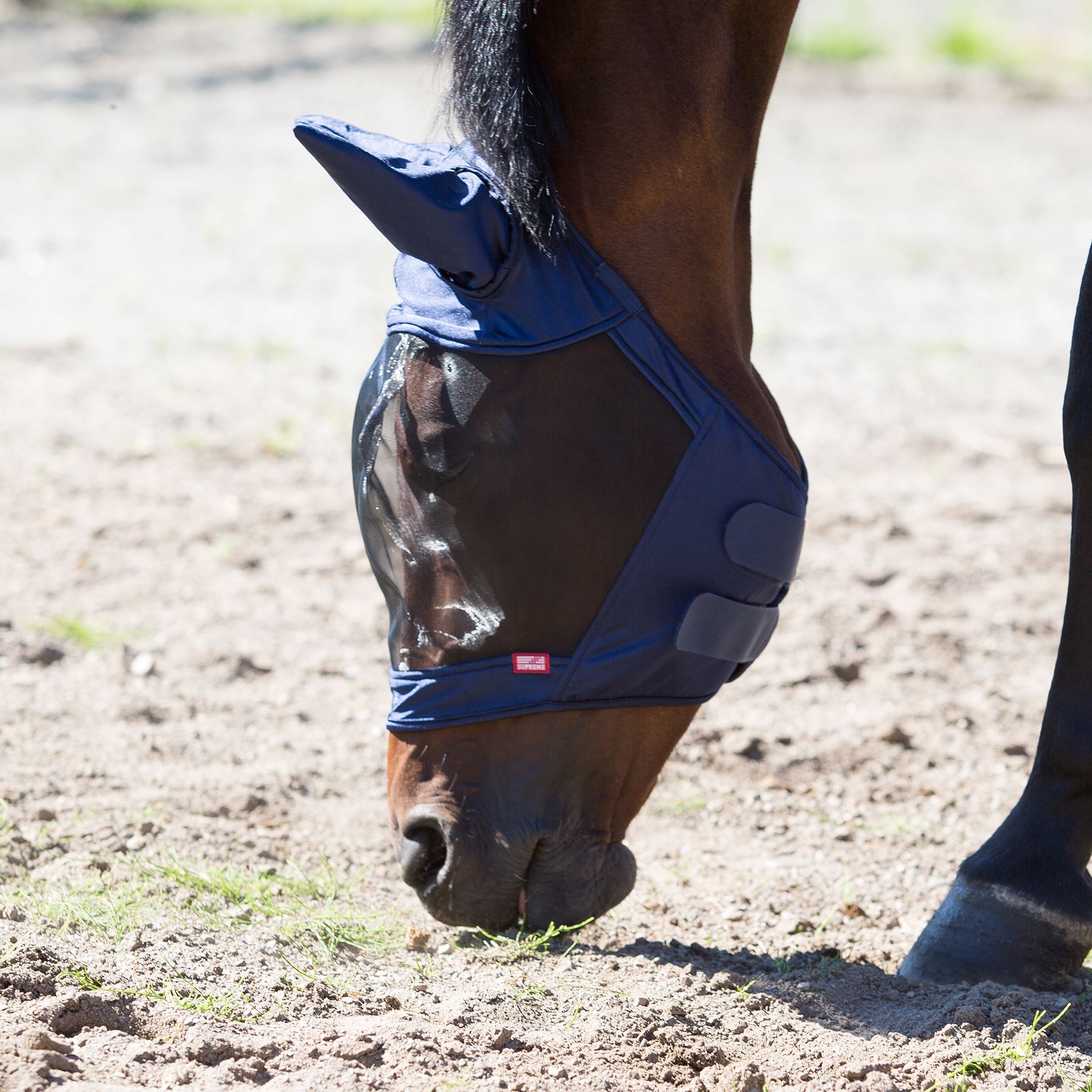 Cayman Fly Mask - Image 2