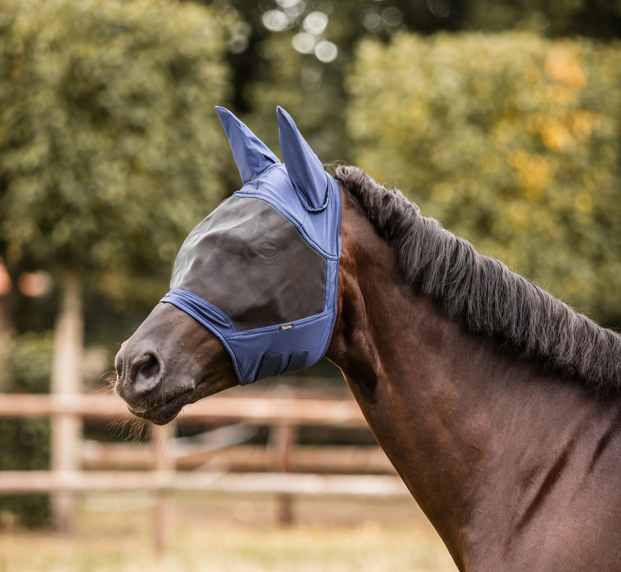 Cayman Fly Mask - Image 3