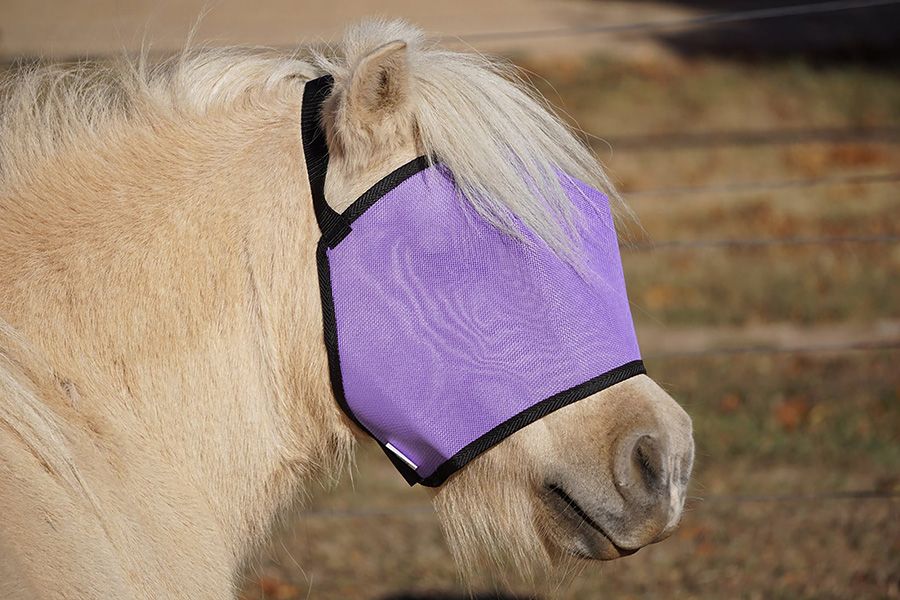Fly Veil Plain (Fbd) - Image 2