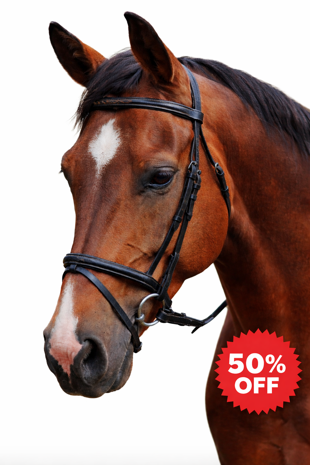 Hanoverian Snaffle Bridle with reins - Image 2