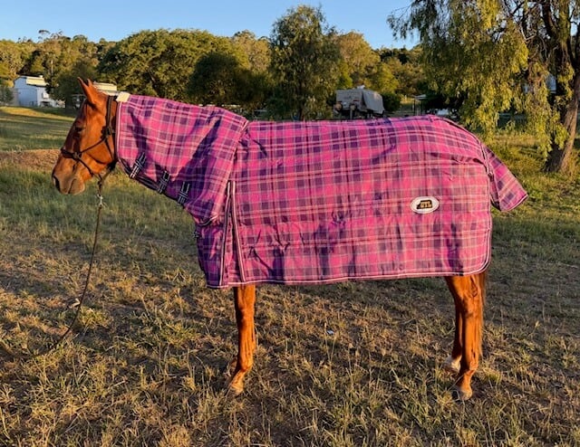 Pvc Shadecloth Combo - Shaz - Purple Check - Image 3