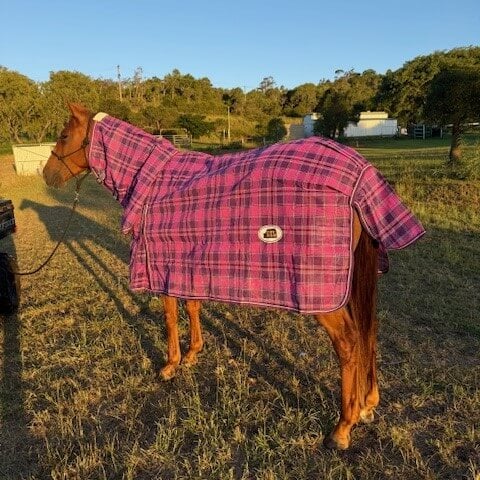 Pvc Shadecloth Combo - Shaz - Purple Check - Image 4