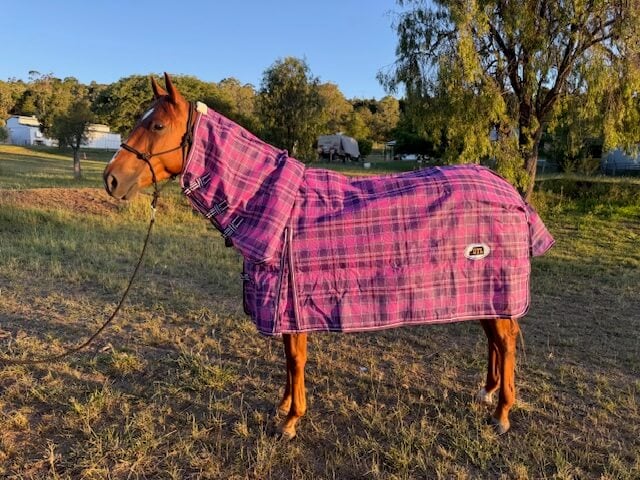 Pvc Shadecloth Combo - Shaz - Purple Check - Image 5