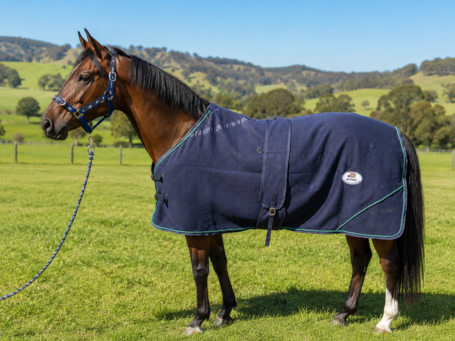 ALPINE WOOLLEN BLAZER RUG - 6'3 — Wholesale Horsewear House