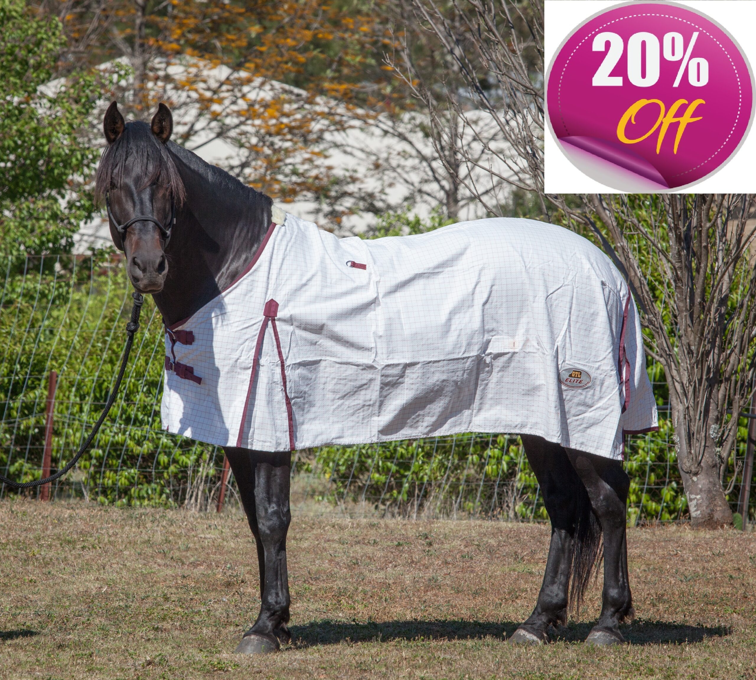 Elite Rug — Wholesale Horsewear House