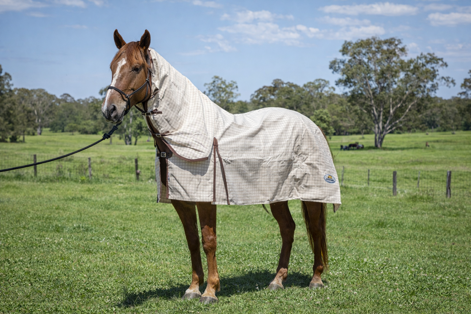 SIMPSON LINED COMBO - 6'3 — Wholesale Horsewear House