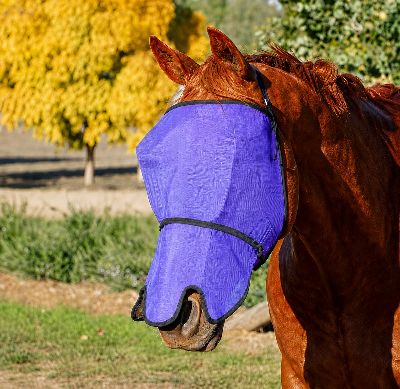 Fly Veil with Mesh Nose (FBD)