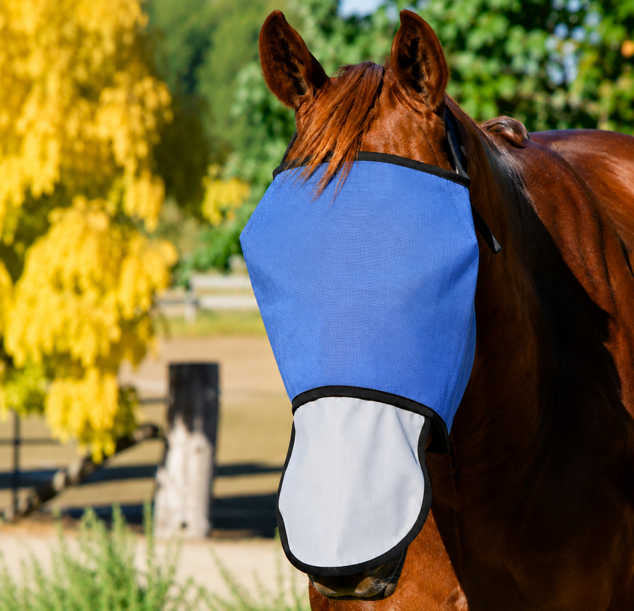 Fly Veil With Cloth Nose (FBD)